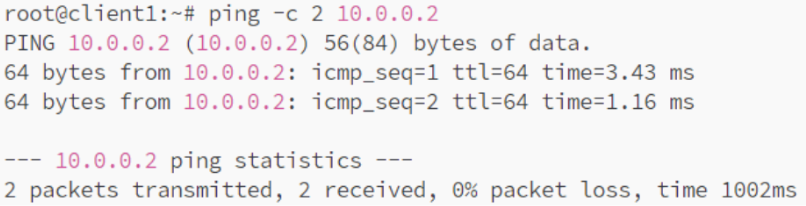 Ping Test